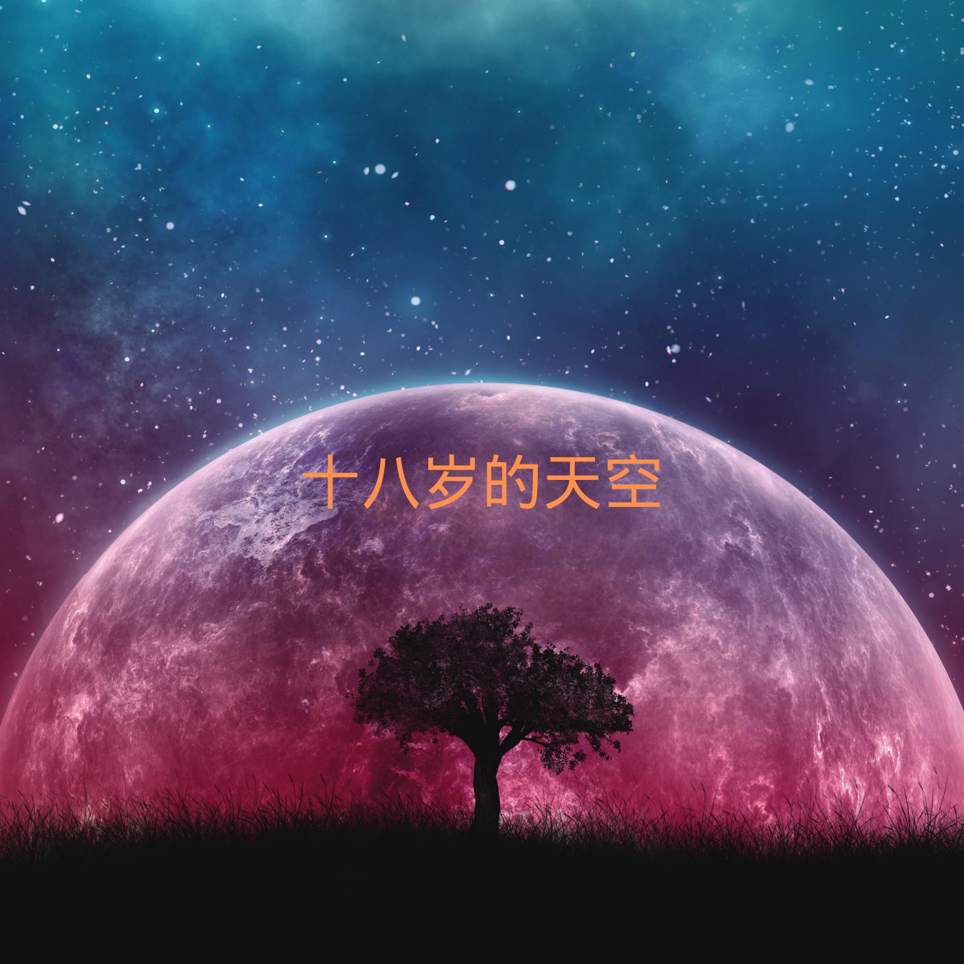 第116页