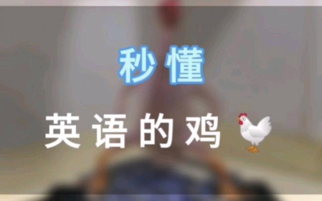 鸡用英语怎么说