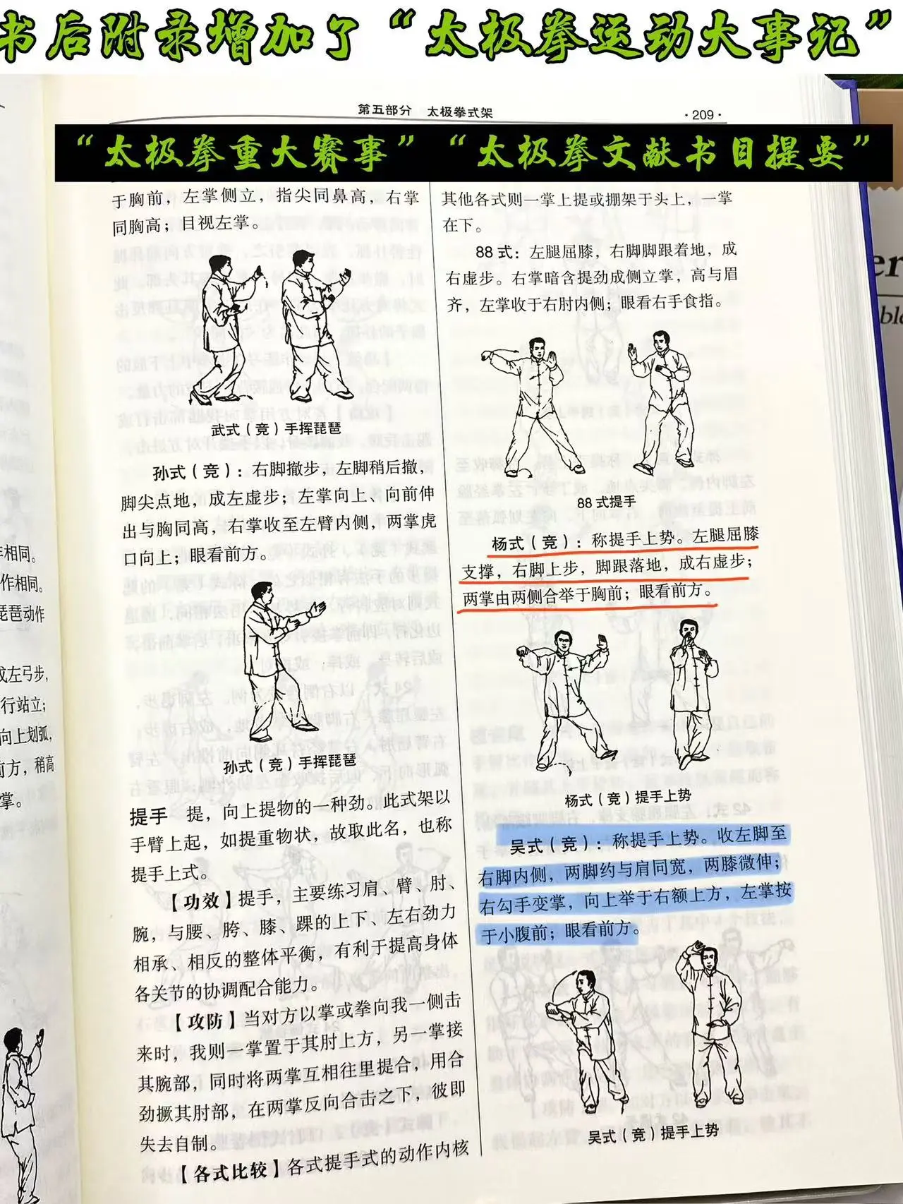 杨式太极拳推手的分类
