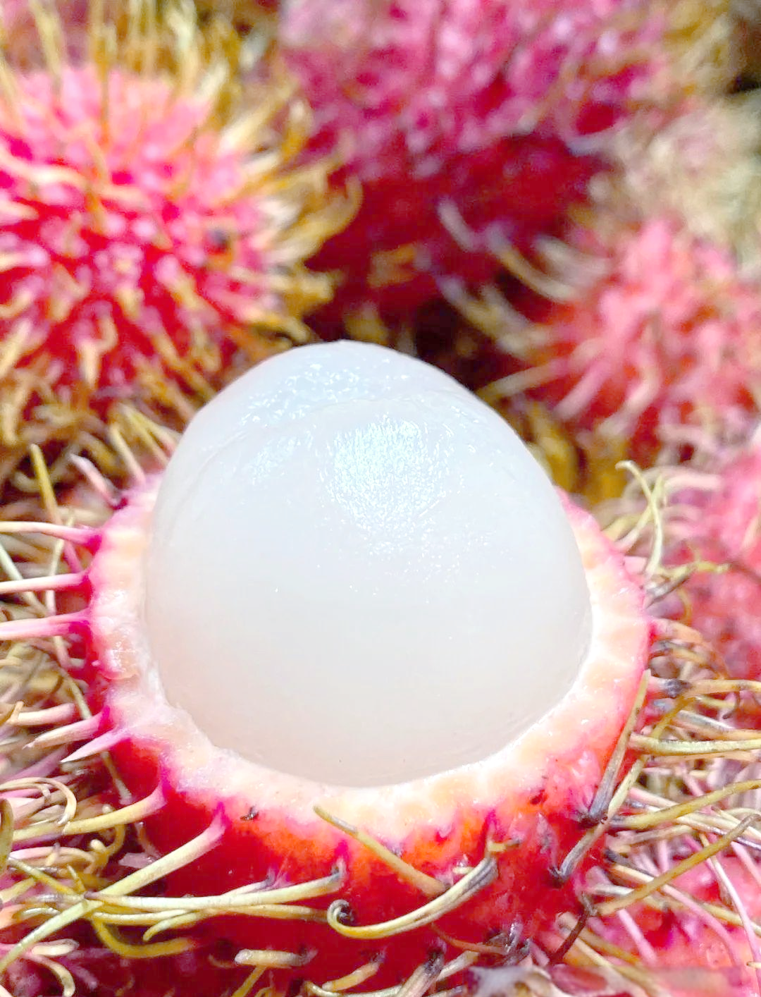 红毛丹营养价值及禁忌是什么