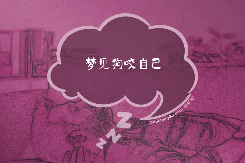 梦见狗扑向自己但没咬是什么意思